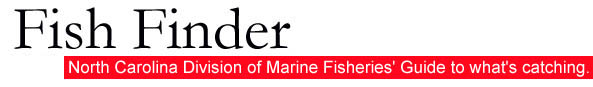 Fish Finder