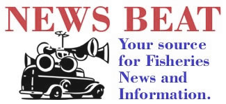 News Beat